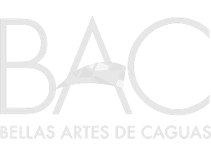 Bellas Artes de Caguas