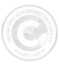 Municipio Autónomo de Caguas